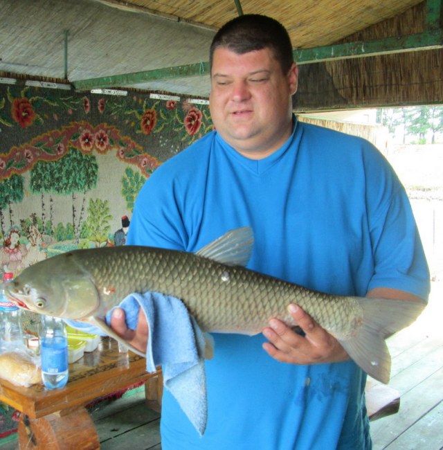 Изображение 322.jpg