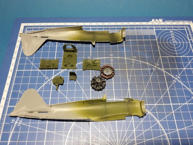 20190723_192624 (2).jpg