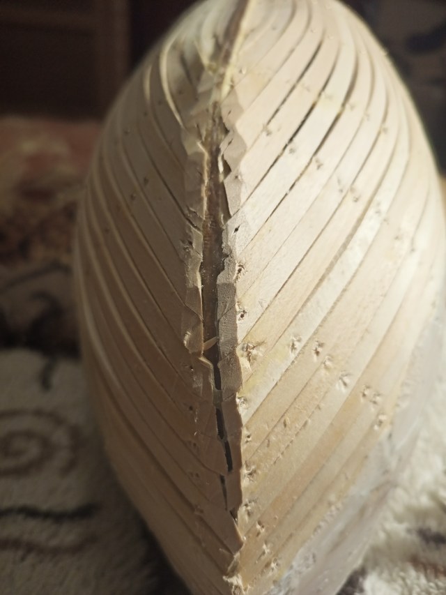 2022-01-18 21-19-36.JPG