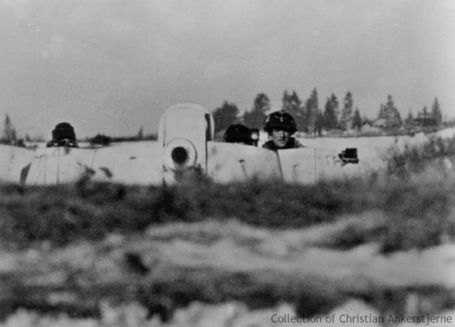 бой Nashorn_6.jpg