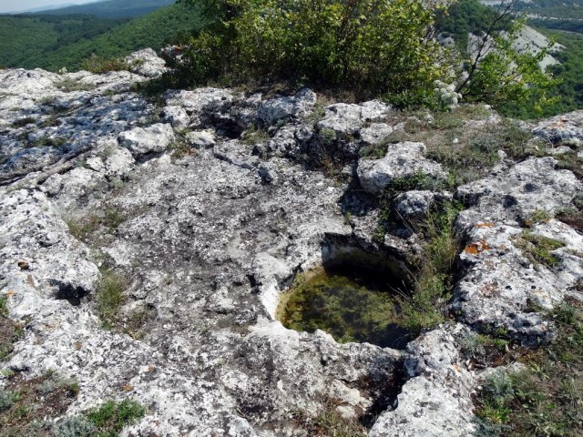 029 Тарапан.jpg