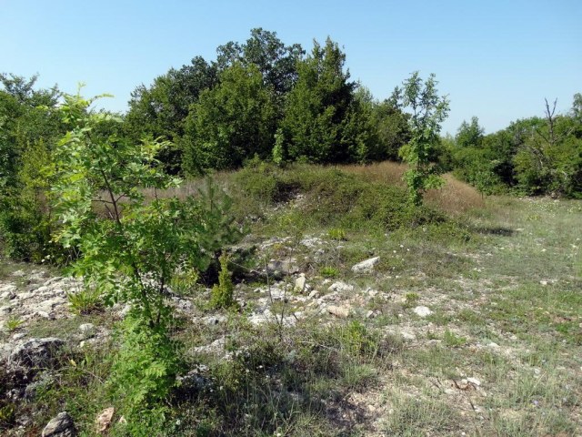 022 Оборонительная стена.jpg