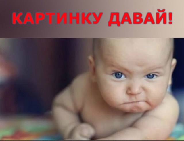 картинку давай.jpg