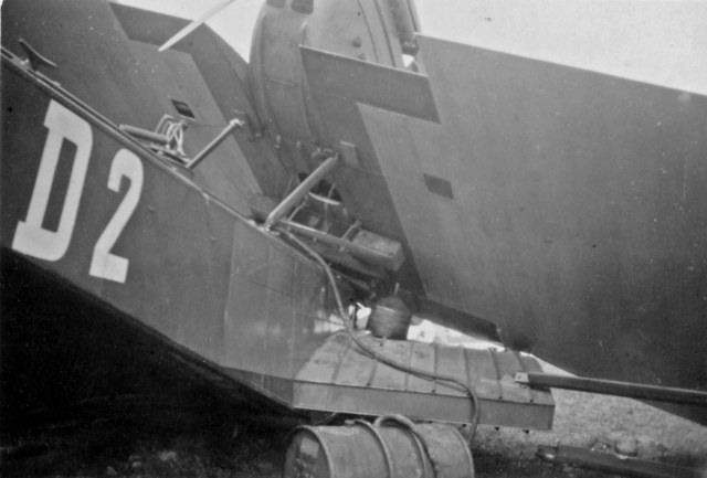 крупн_090888 (D-2).jpg