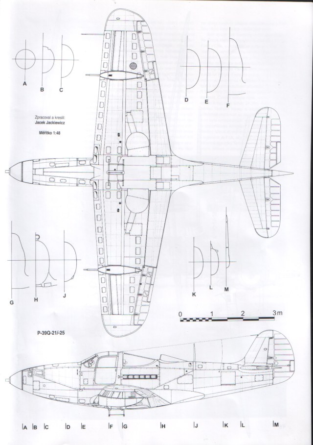 p-39q-01.jpg