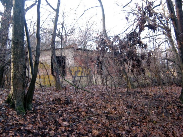 06 Постройка.jpg