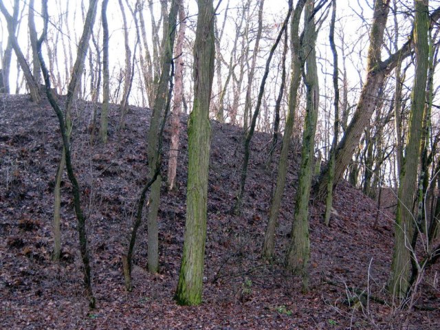 08 Фортификация.jpg