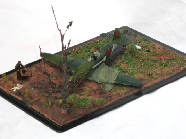 арбузы созрели.