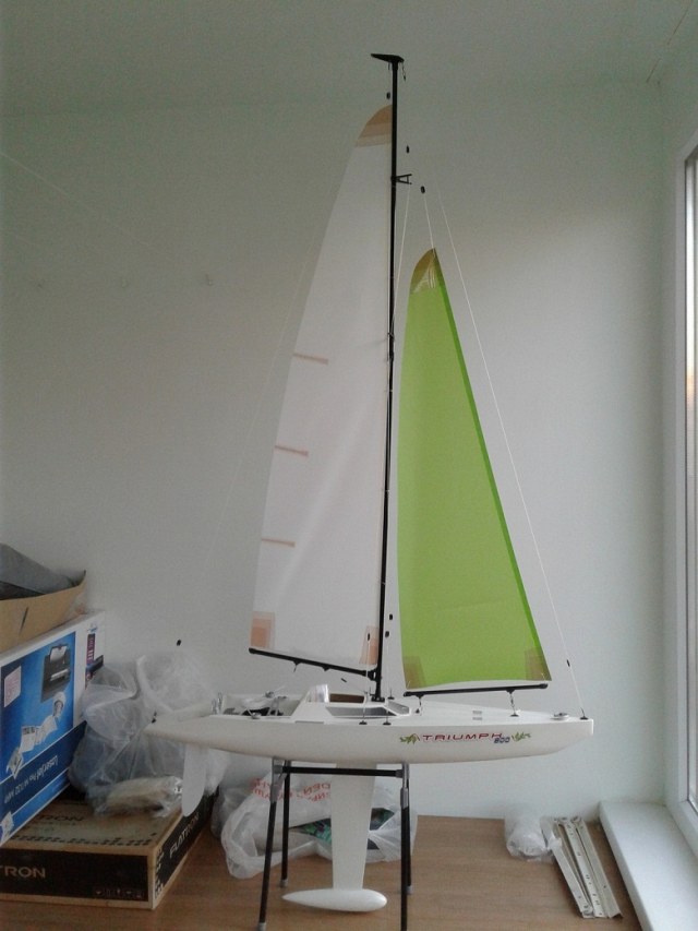 Яхта "Триумф800"