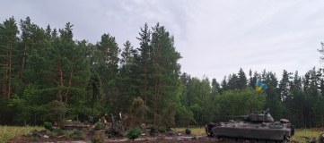 Ошиблись адресом (05.06.2023) Лесополоса (Северная) Кременная