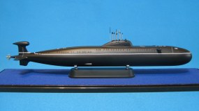 ПЛАТ  пр.671  РТМ(К) "Щука"