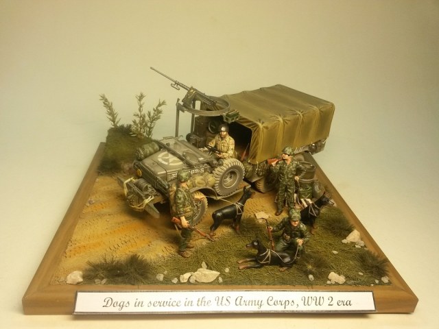 " Dogs in service in the US Army Corps, WW 2 era " - Собаки на службе армии США, 2 МВ.