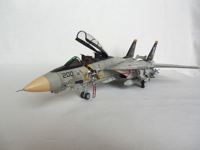 Grumman F-14A TOMCAT "Весёлый Роджер" 1:48