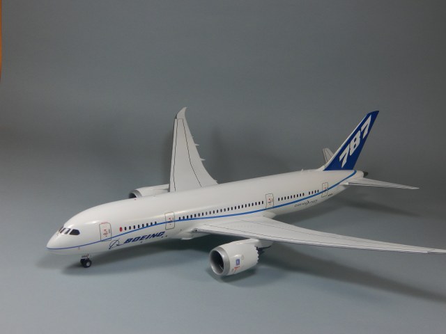 Boeing 787-8 Dreamliner N7874 Home color