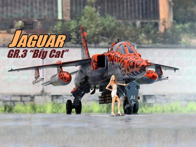Jaguar GR.3 “Big Cat”