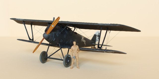 Pfalz D.III Eduard 1/48 Carl Degelow