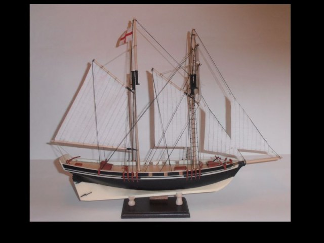 парусник Virginia