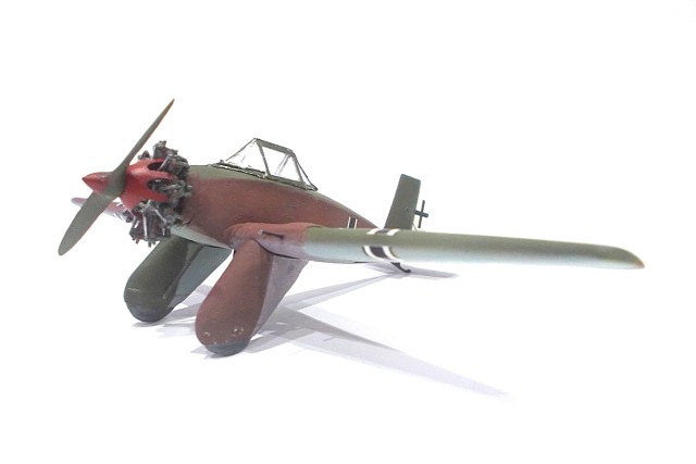 Albatros ME  Kaulquappe