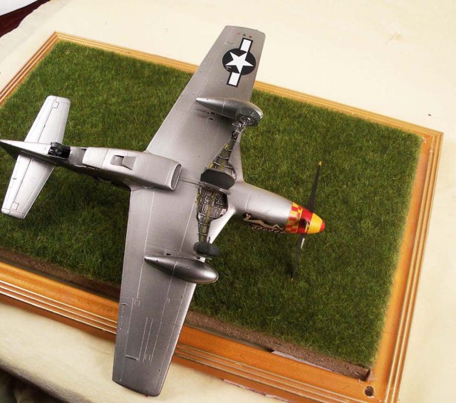 P-51 D Mustang  1/48