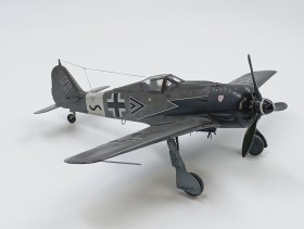 fw-190A8