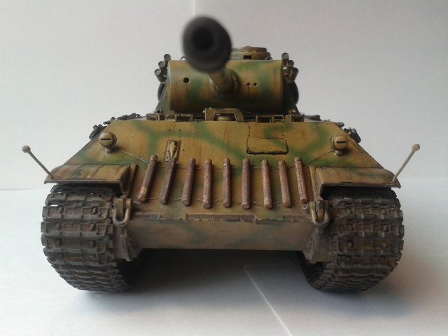 Panther AusF D