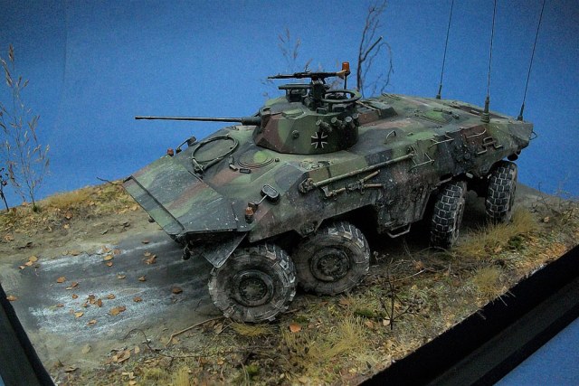 БРМ  SpPz 2  Luchs