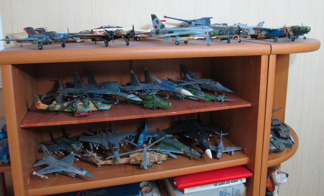 "Домашняя" выставка