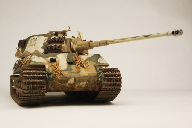 Tiger - 2    ( Full interior )