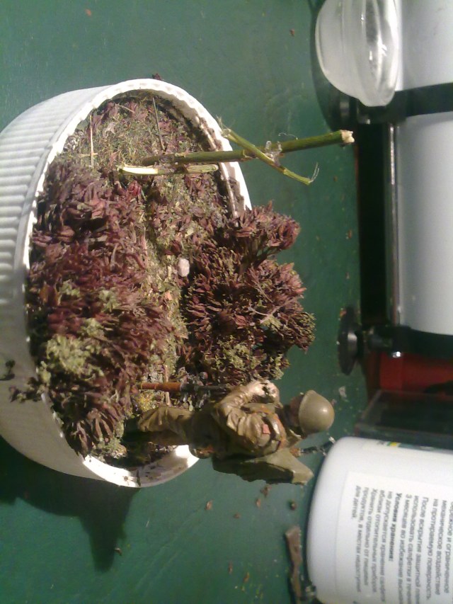 могила неизвесного бойца