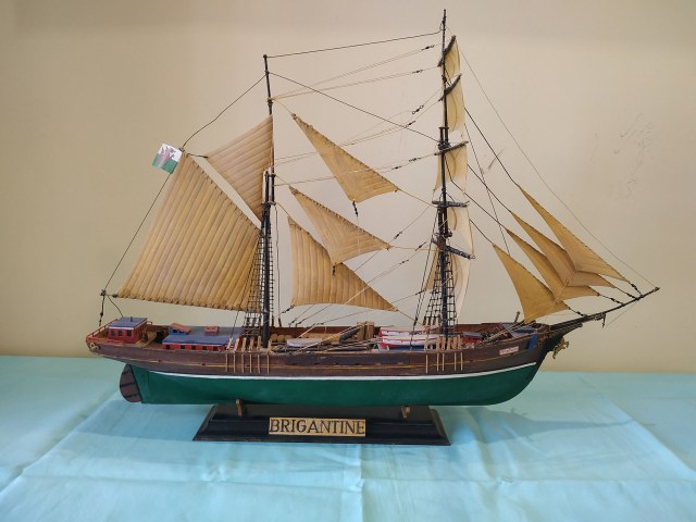 два брата акробата