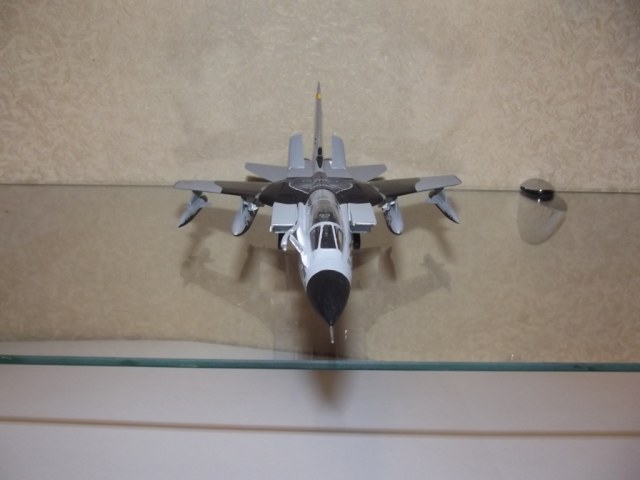 Tornado IDS "Black Panthers"