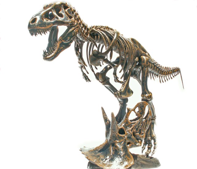 Tyrannosaurus Rex