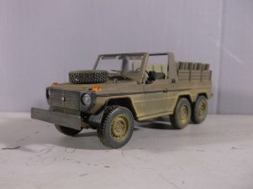 Lkw gl leicht "WOLF"