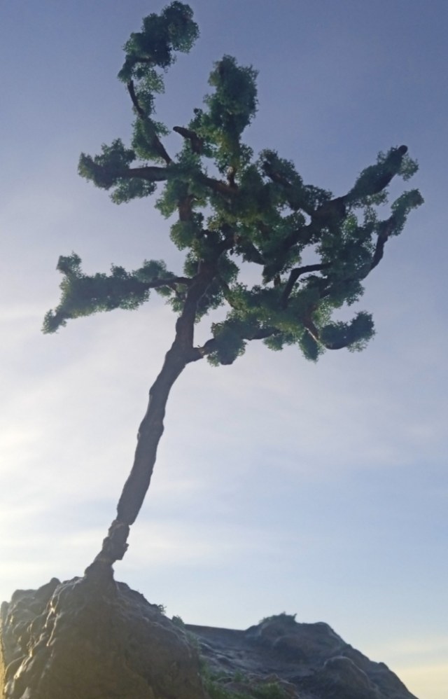 Горная виньетка