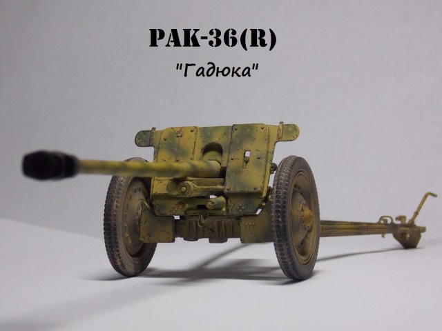 PAK-36(r)