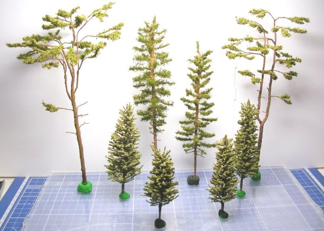 Хвойные деревья