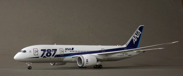 Boeing 787-800 Dreamliner ANA