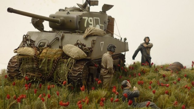 на маковом поле