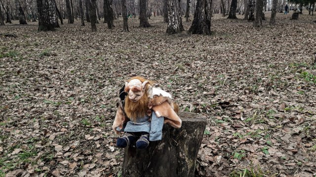 Лесной тролль