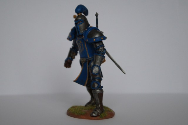 Герой Штормграда (Warcraft)