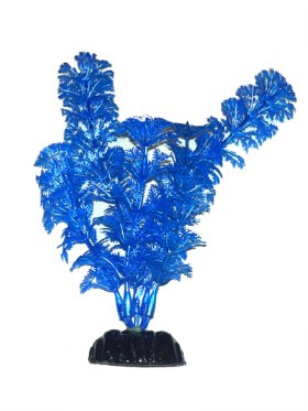 Заснеженная ель за 1 час