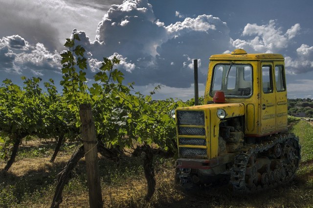 Т-54В (КТЗ) "Труженик на виноградниках"