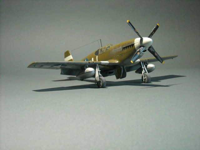 Мустанг P51