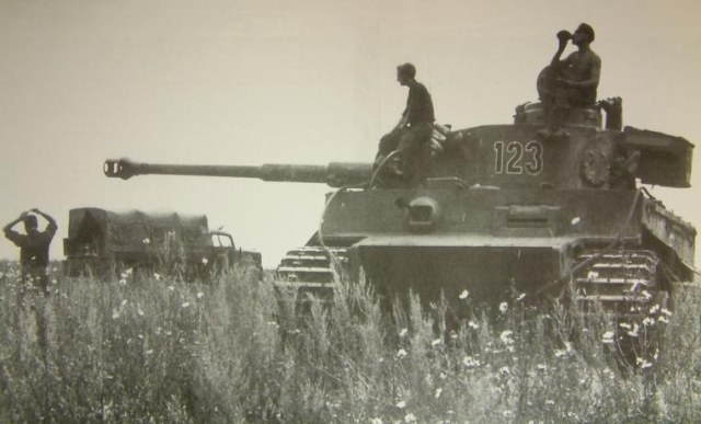 k1ktiger123.jpg