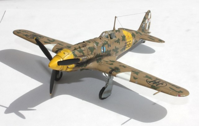 Macchi C.202 Folgore, 21 Stormo, 356 Squadriglia. Восточный фронт