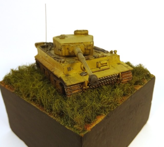 Тигр в поле.