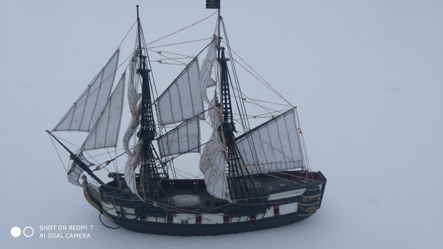 Чорний сокіл