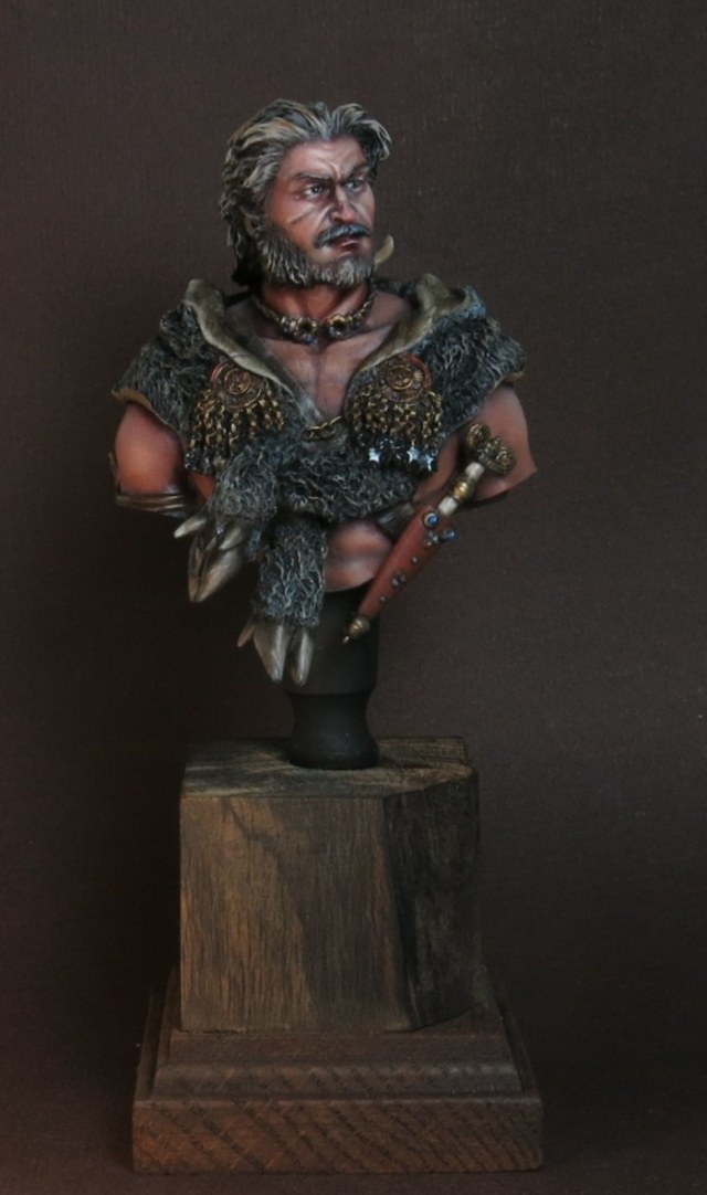 Кельтский воин 1 в днэ.