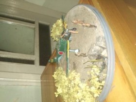 Не смотря на то,что бухой,все равно он рвется в бой!