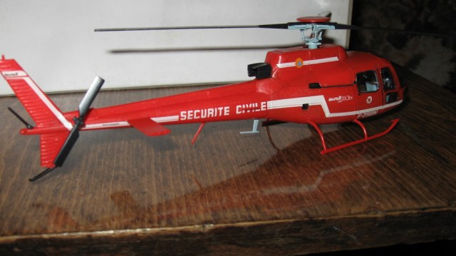 ECUREUIL BOMBARDIER D'EAU